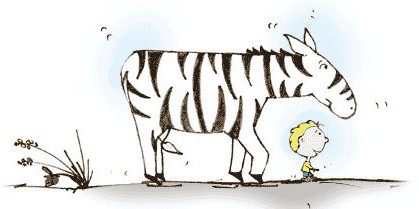 zebra-e1330544756720.jpg